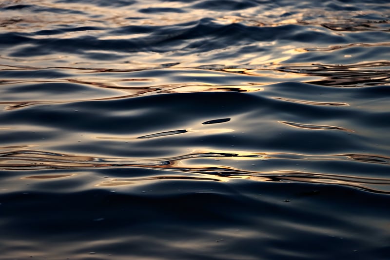 Ripple XRP Image